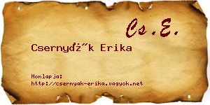 Csernyák Erika névjegykártya